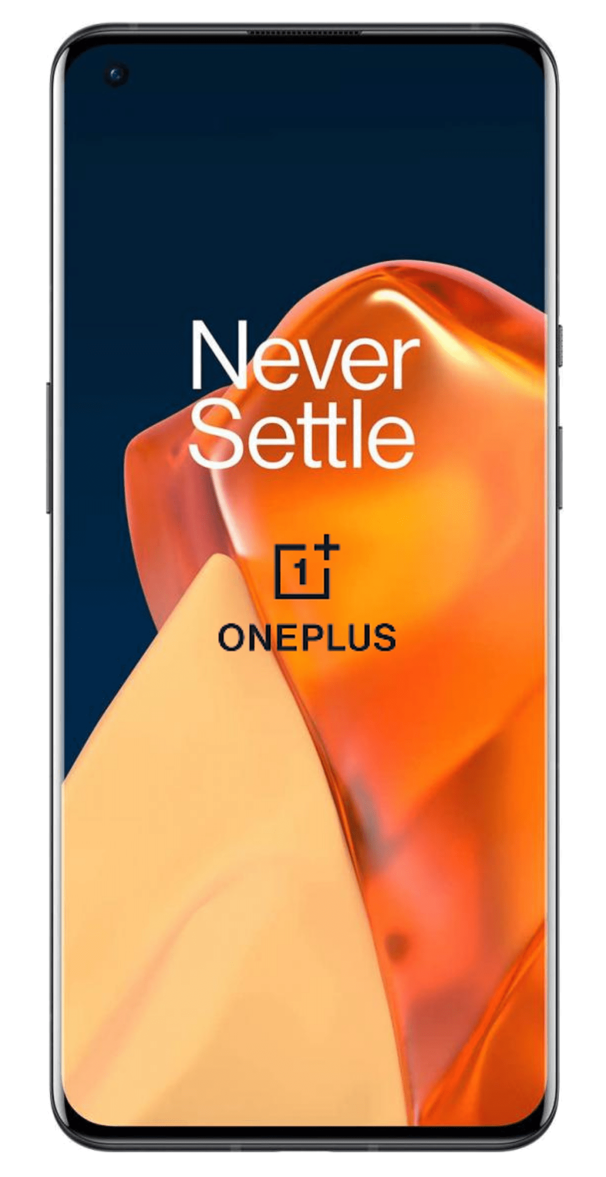 Protections smartphone OnePlus